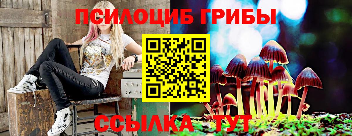 Галлюциногенные грибы GOLDEN TEACHER Гагарин