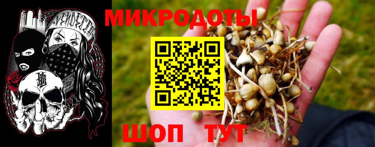 Галлюциногенные грибы мухоморы  Псилоцибиновые грибы прущие грибы  Вход с VPN  Гагарин 